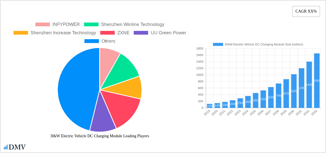 30kW Electric Vehicle DC Charging Module Research Report - Market Overview and Key Insights