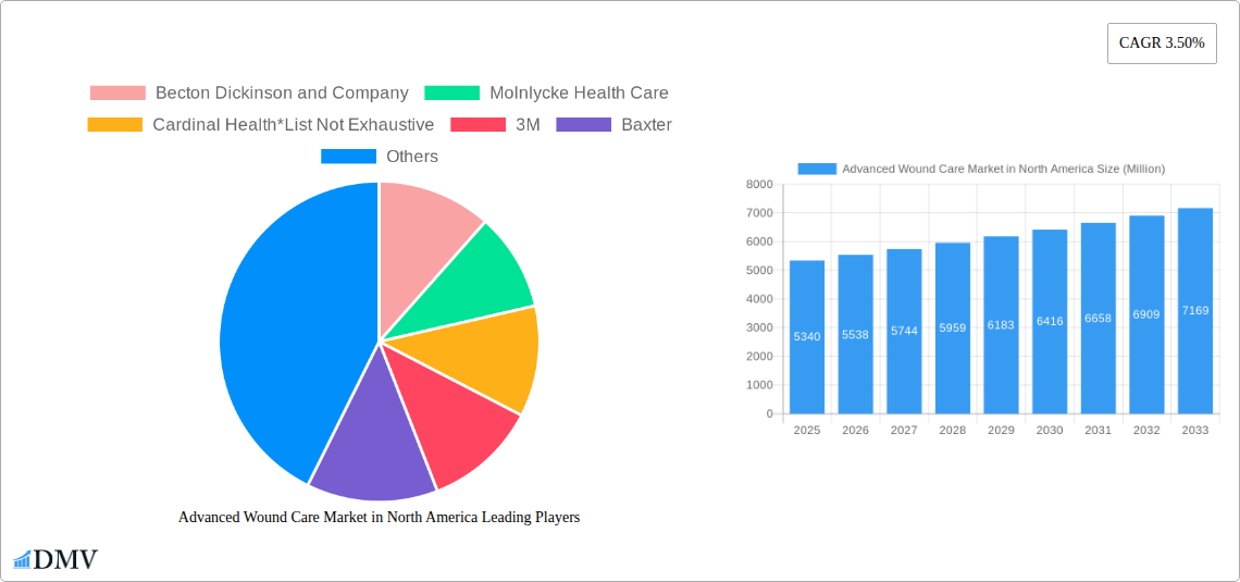 Advanced Wound Care Market in North America Research Report - Market Size, Growth & Forecast