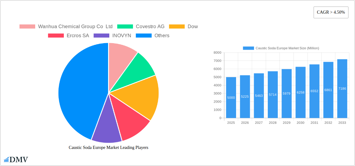 Caustic Soda Europe Market Research Report - Market Size, Growth & Forecast