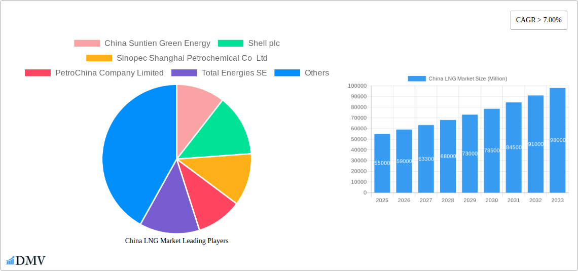China LNG Market Research Report - Market Size, Growth & Forecast