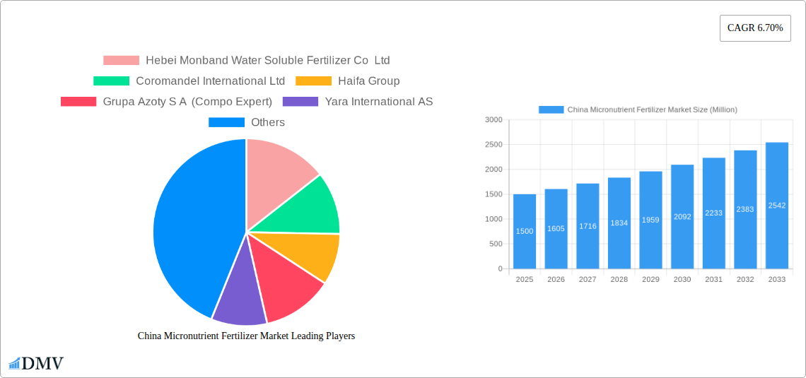 China Micronutrient Fertilizer Market Research Report - Market Size, Growth & Forecast