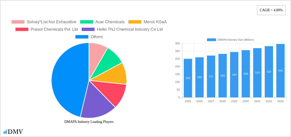 DMAPA Industry Research Report - Market Size, Growth & Forecast