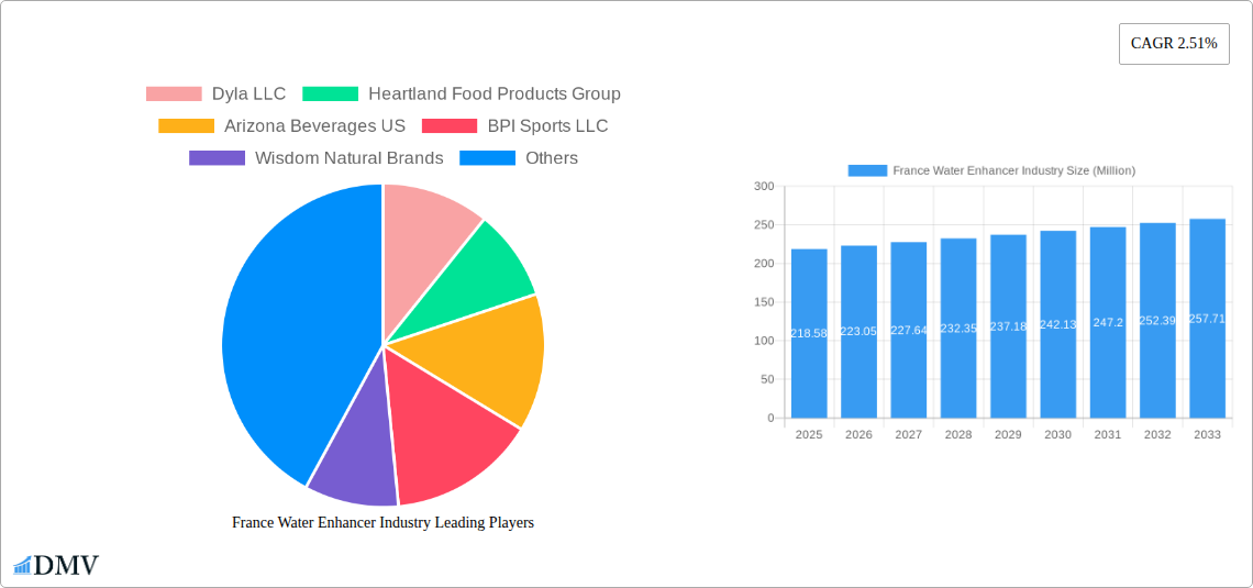 France Water Enhancer Industry Research Report - Market Size, Growth & Forecast