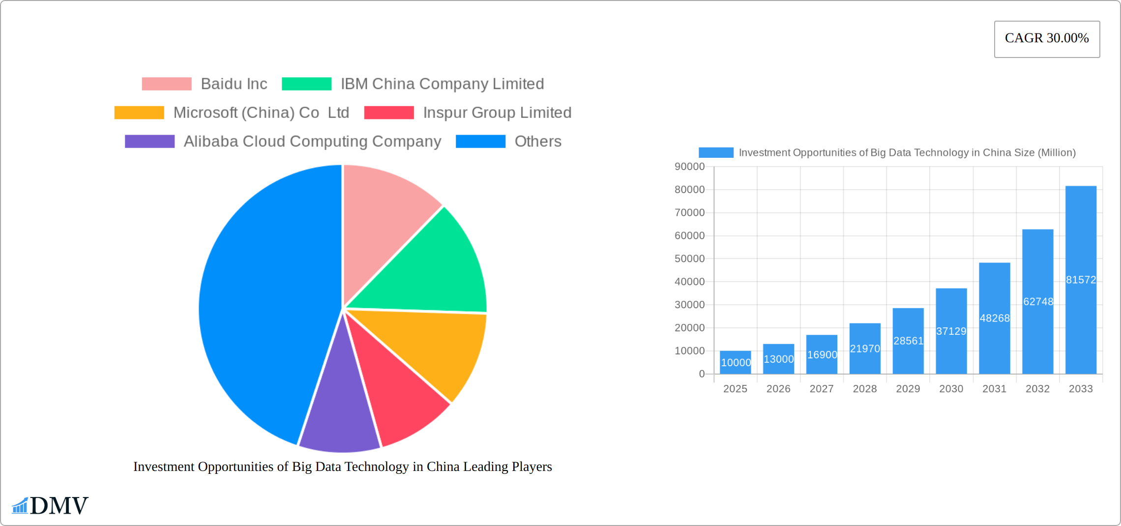 Investment Opportunities of Big Data Technology in China Research Report - Market Size, Growth & Forecast