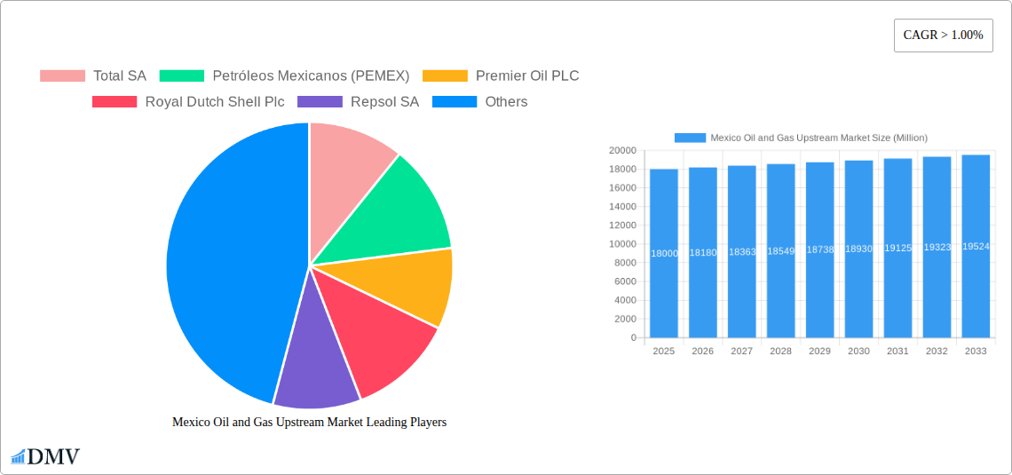 Mexico Oil and Gas Upstream Market Research Report - Market Size, Growth & Forecast