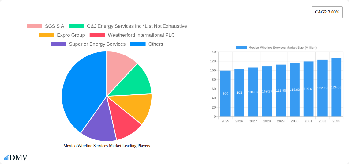 Mexico Wireline Services Market Research Report - Market Size, Growth & Forecast