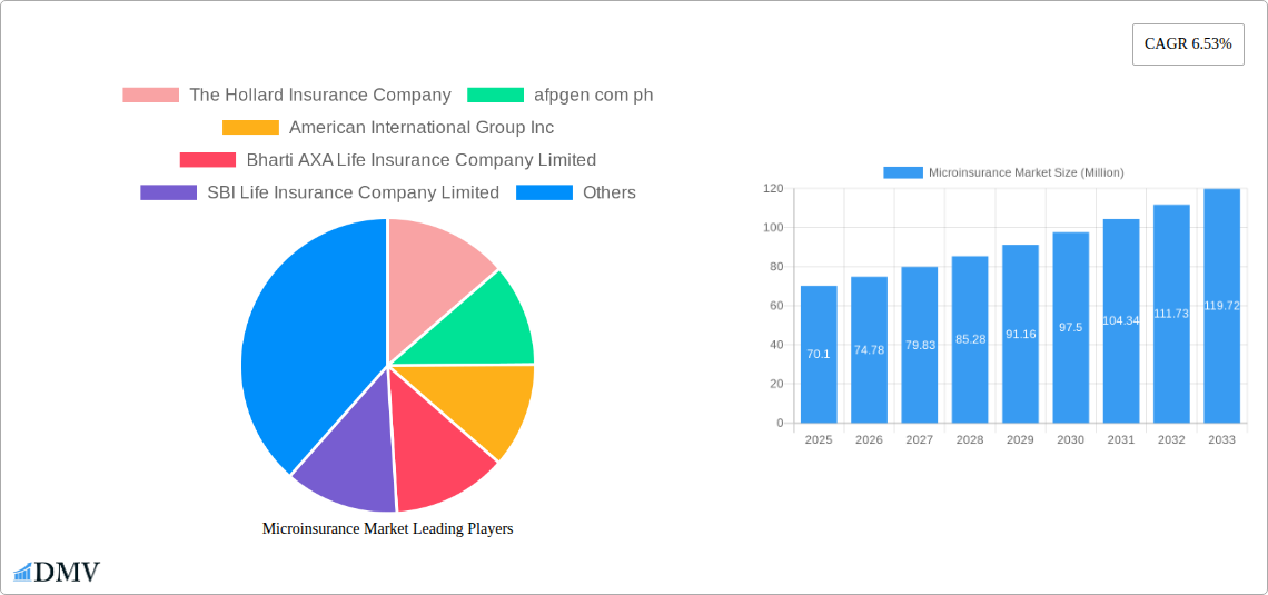 Microinsurance Market Research Report - Market Size, Growth & Forecast