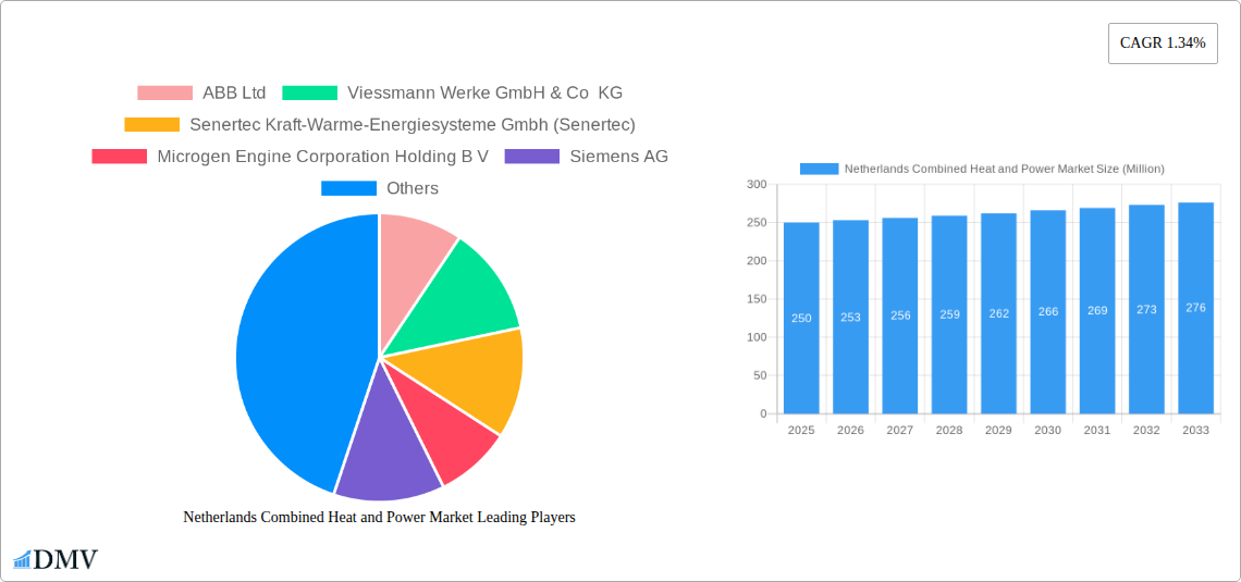 Netherlands Combined Heat and Power Market Research Report - Market Size, Growth & Forecast