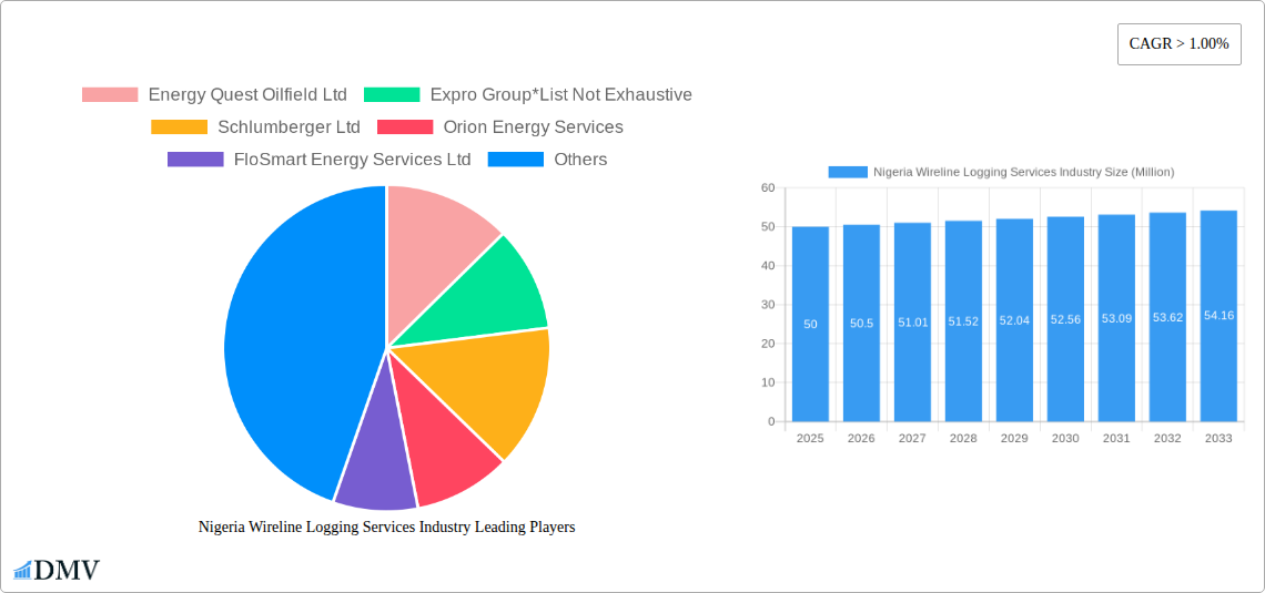 Nigeria Wireline Logging Services Industry Research Report - Market Size, Growth & Forecast