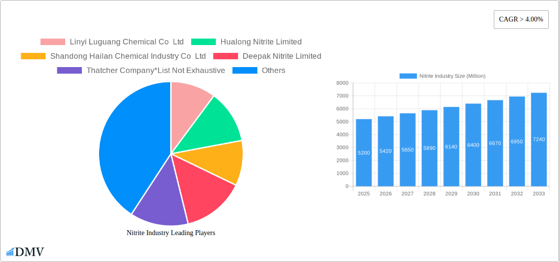 Nitrite Industry Research Report - Market Size, Growth & Forecast