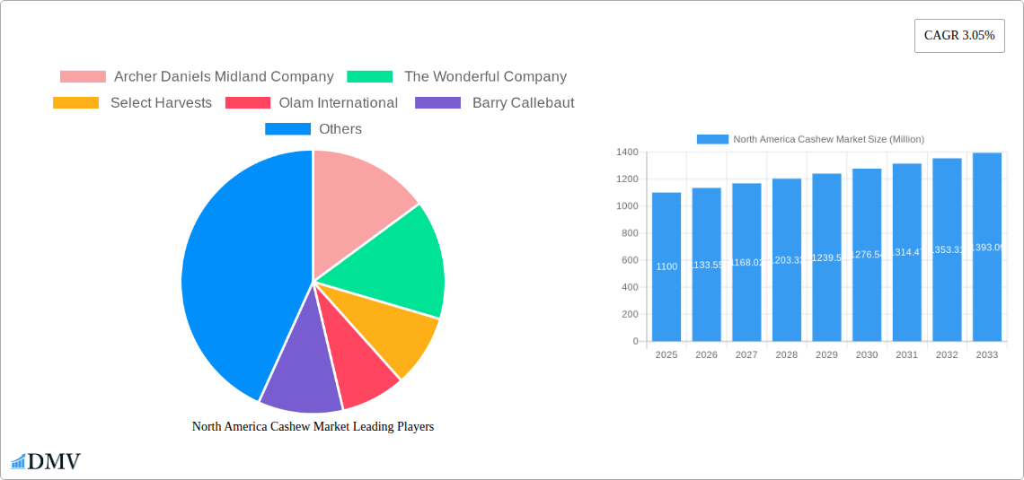 North America Cashew Market Research Report - Market Size, Growth & Forecast