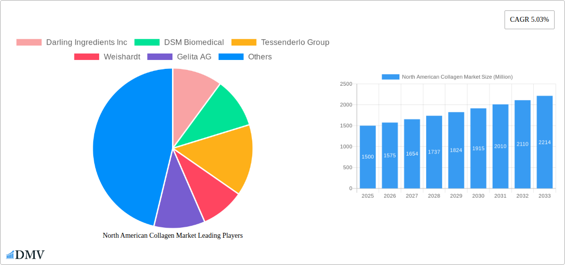 North American Collagen Market Research Report - Market Size, Growth & Forecast