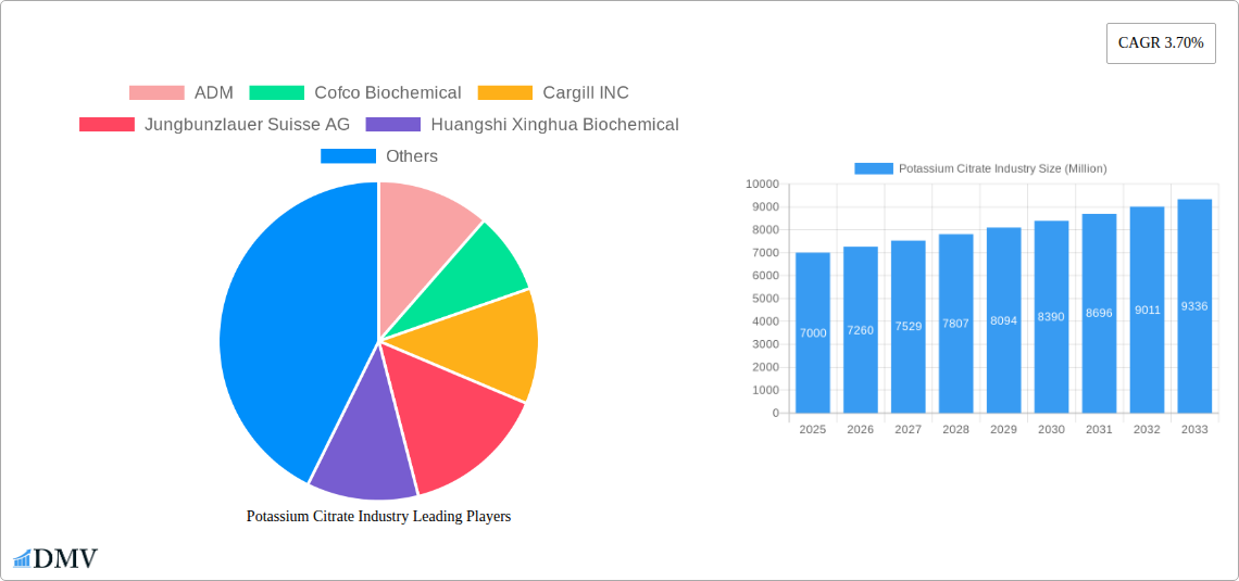 Potassium Citrate Industry Research Report - Market Size, Growth & Forecast