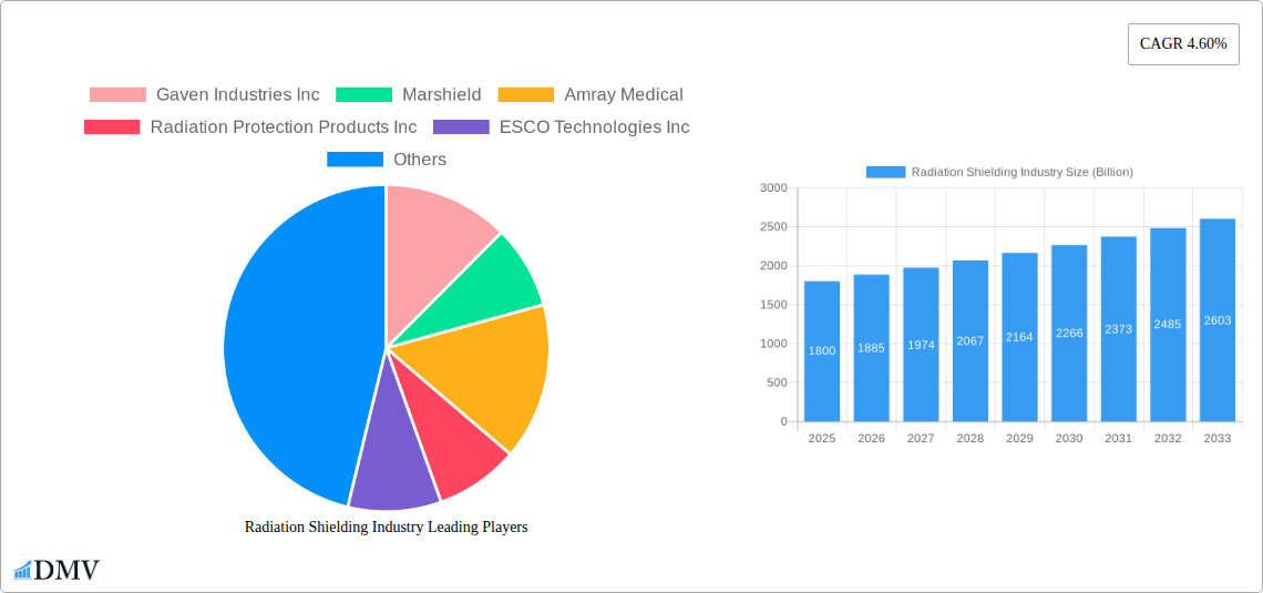 Radiation Shielding Industry Research Report - Market Size, Growth & Forecast