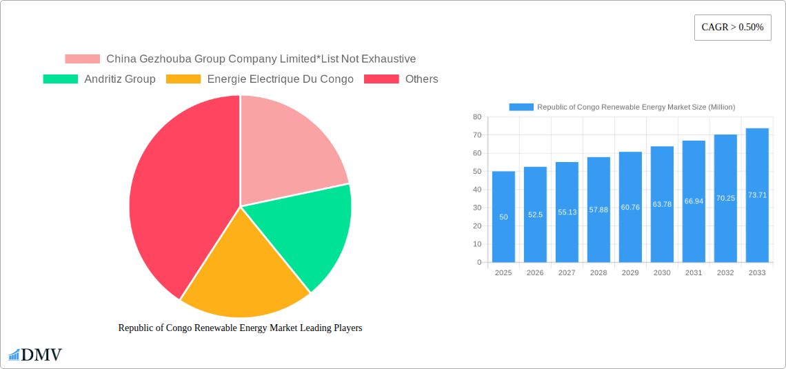 Republic of Congo Renewable Energy Market Research Report - Market Size, Growth & Forecast