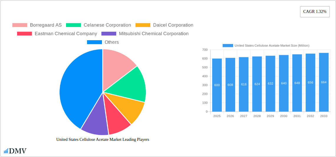 United States Cellulose Acetate Market Research Report - Market Size, Growth & Forecast