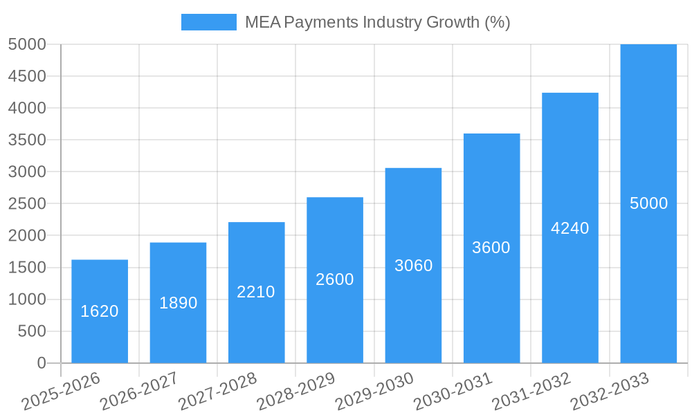 MEA Payments Industry Growth