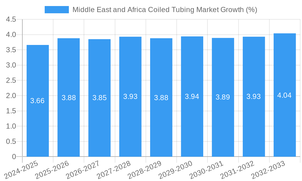 Middle East and Africa Coiled Tubing Market Growth