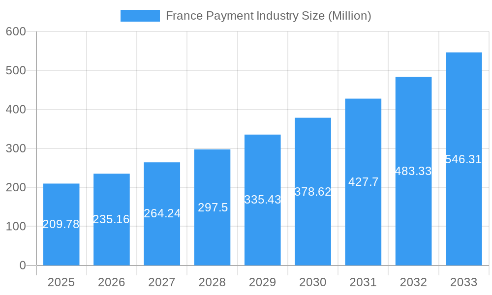 France Payment Industry Market Size and Forecast (2024-2030)