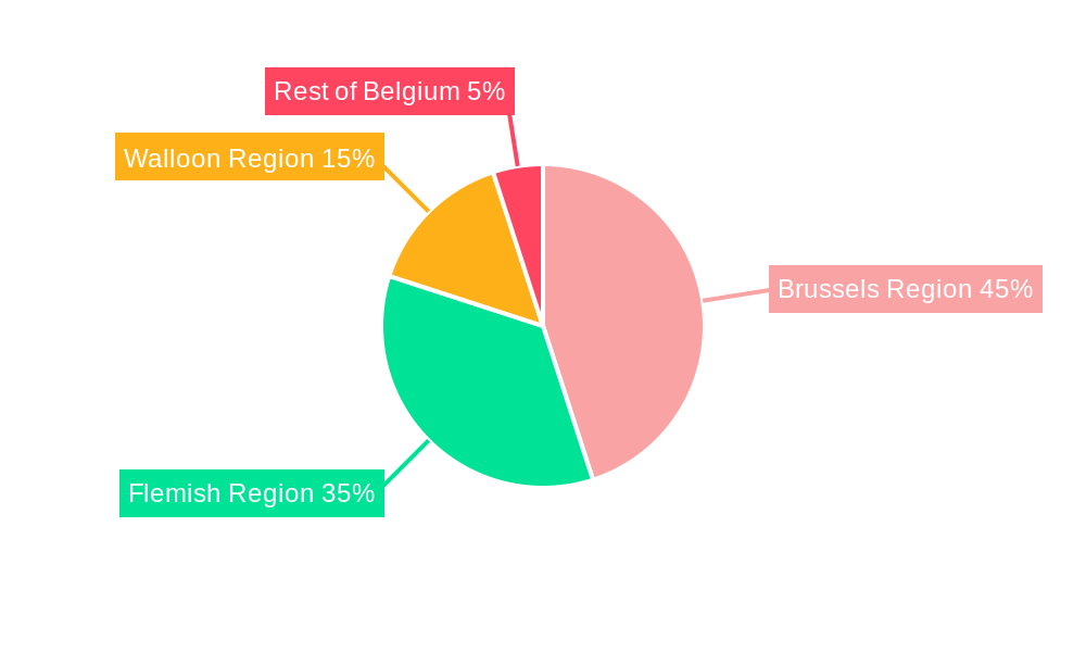 Belgium Luxury Residential Real Estate Industry Regional Share