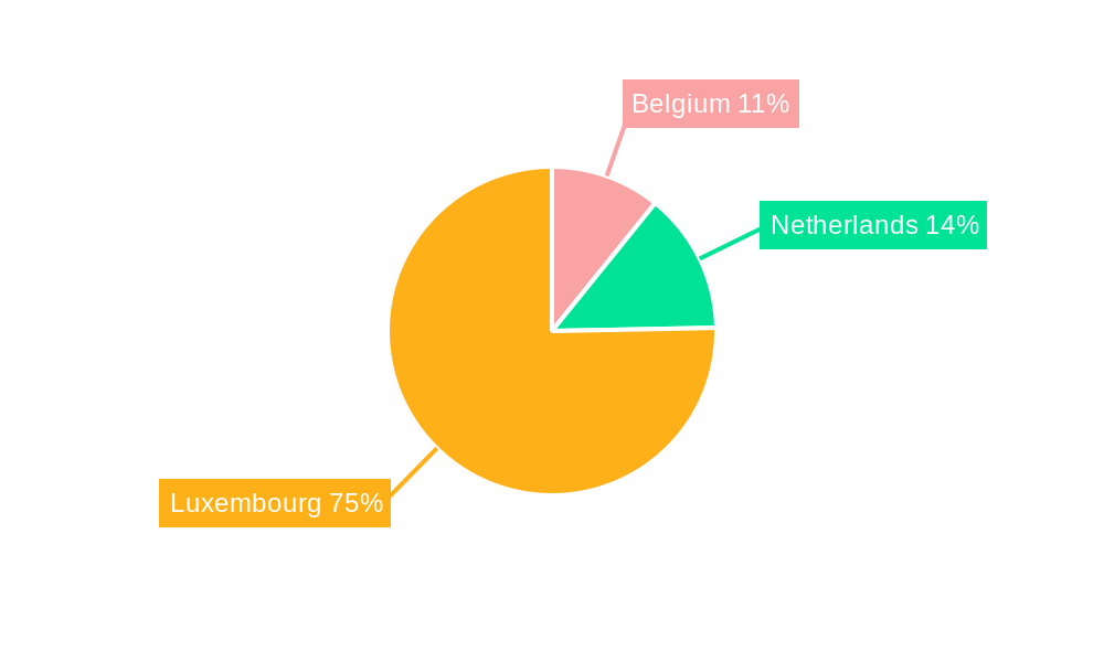 Benelux Cybersecurity Market Regional Share