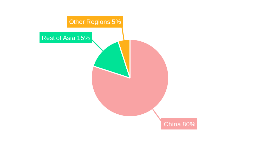 China Starch and Starch Derivatives Market Regional Share