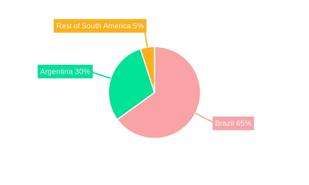 Cotton Market in South America Regional Share