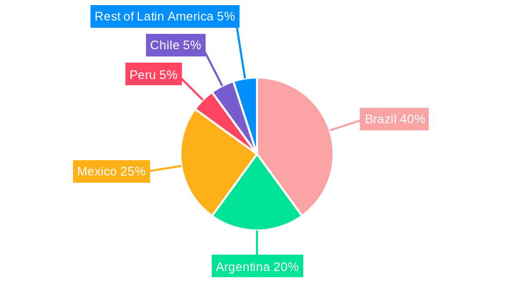 Latin American Textiles Industry Regional Share