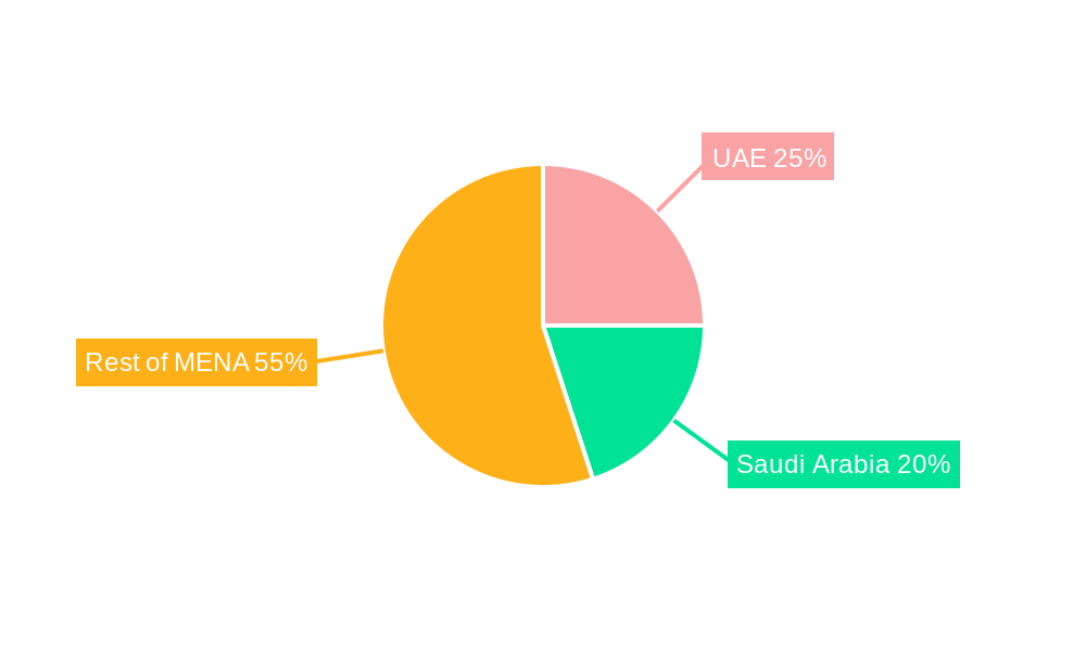 MENA Medical Device Reprocessing Industry Regional Share