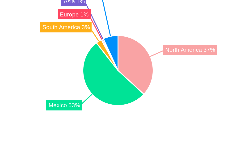 Mexico 3PL Market Regional Share