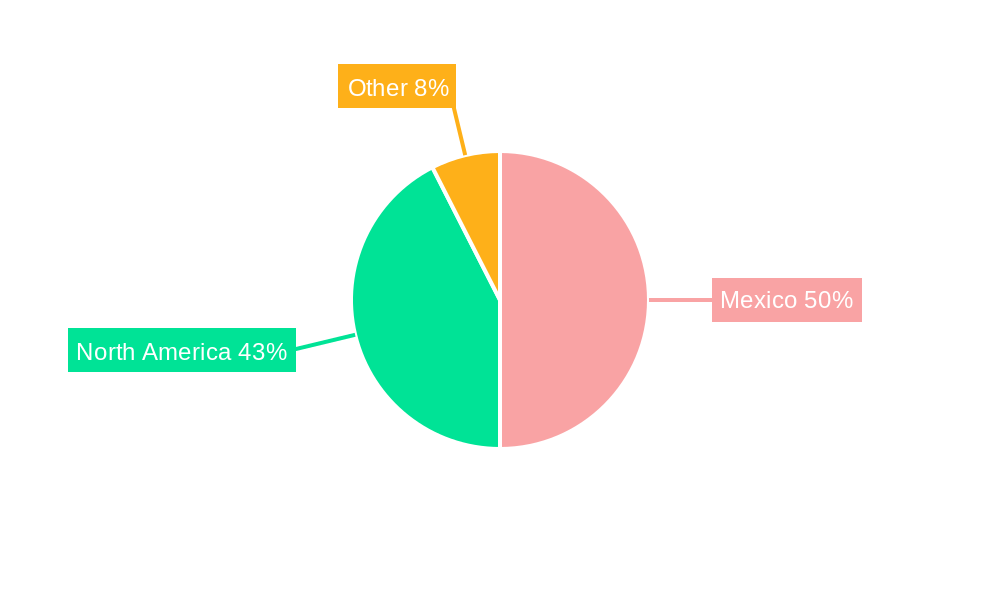 Mexico Automotive Camera Market Regional Share