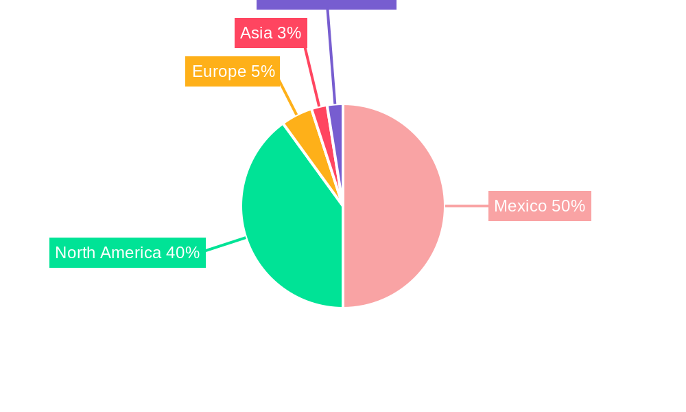 Mexico Automotive Pneumatic Actuators Market Regional Share