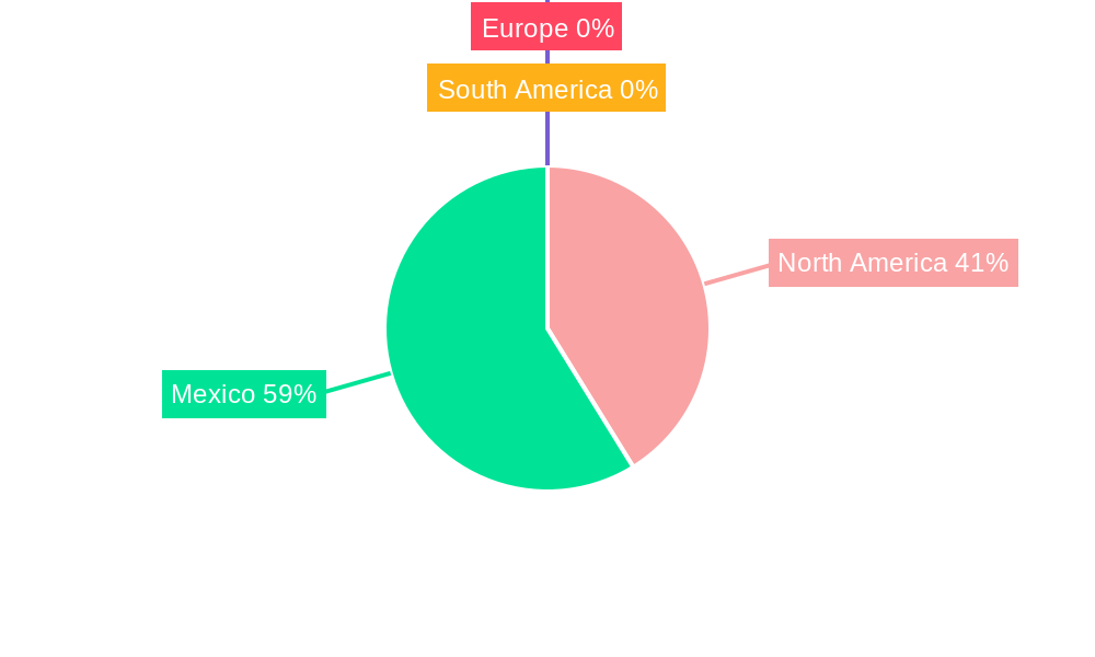 Mexico Caustic Soda Industry Regional Share