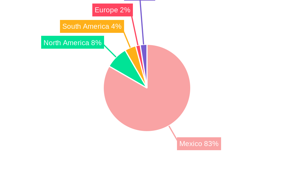 Mexico Data Center Construction Market Regional Share