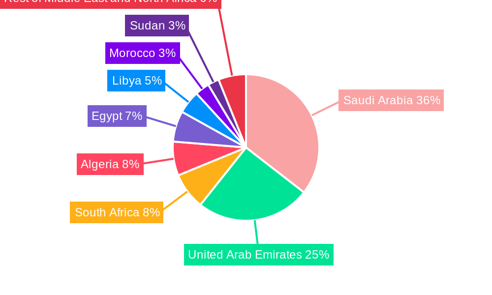 Middle East And North Africa Perforating Gun Market Regional Share