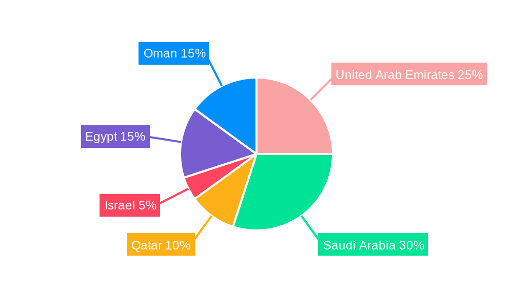 Middle East LED Lighting Industry Regional Share
