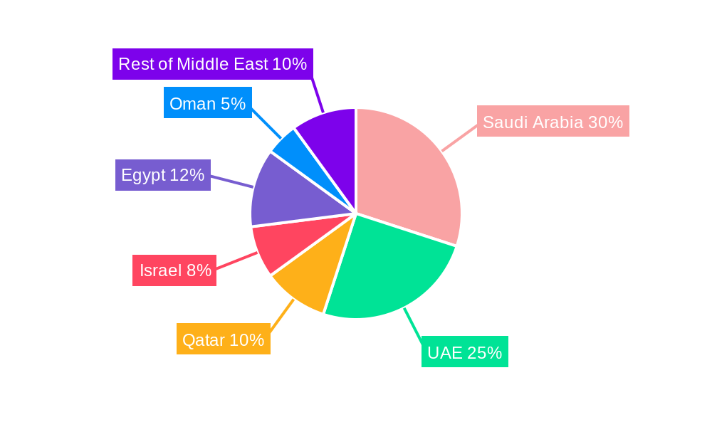 Middle East Media And Entertainment Market Regional Share