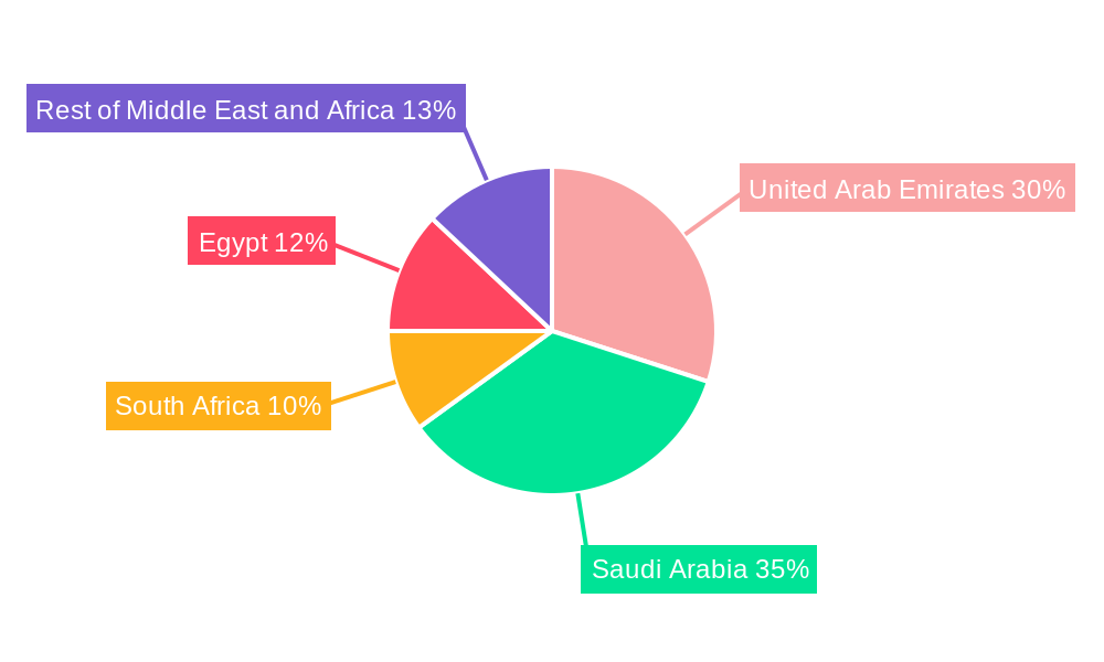 Middle East and Africa Coiled Tubing Market Regional Share