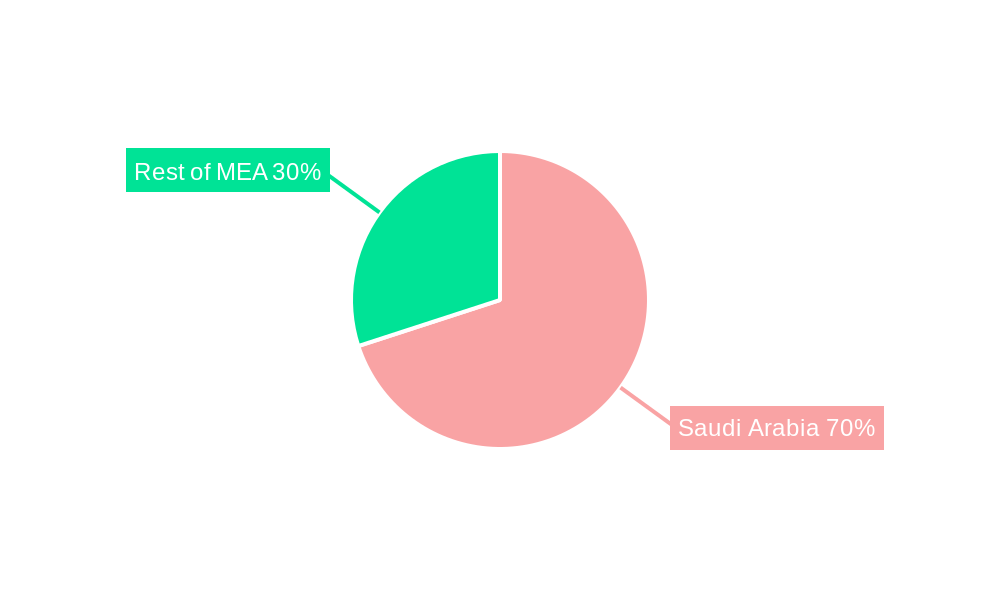 Saudi Arabia Diagnostic Imaging Market Regional Share