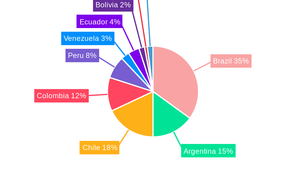 South America Automotive High Performance Electric Vehicles Industry Regional Share