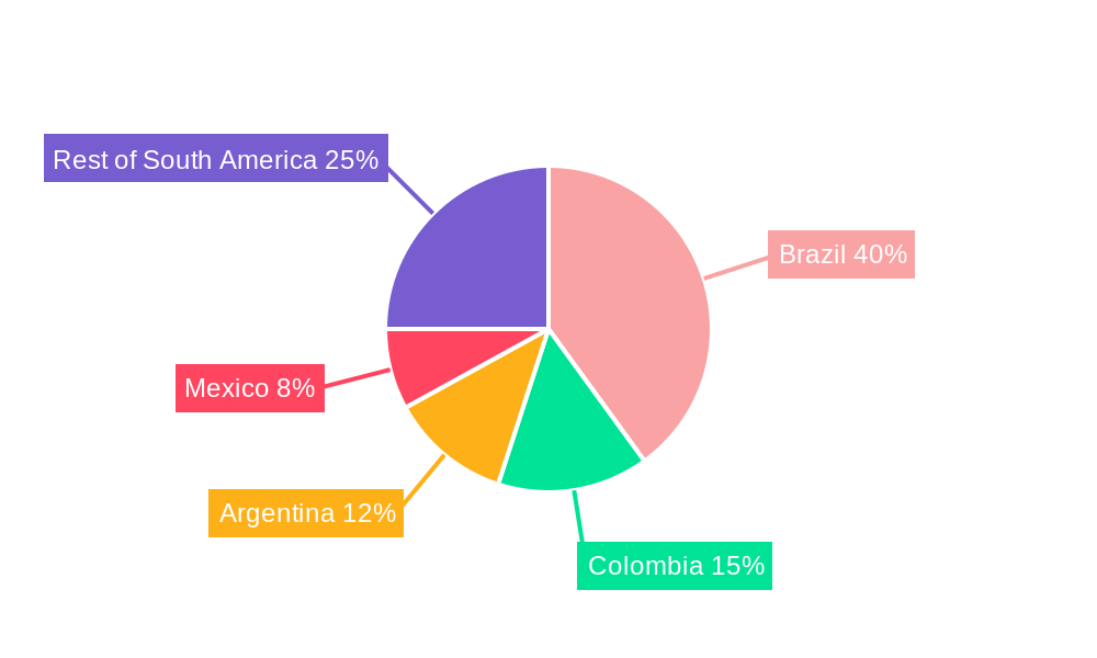 South America Automotive Lubricant Market Regional Share