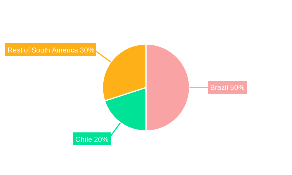 South America Data Center Rack Market  Regional Share