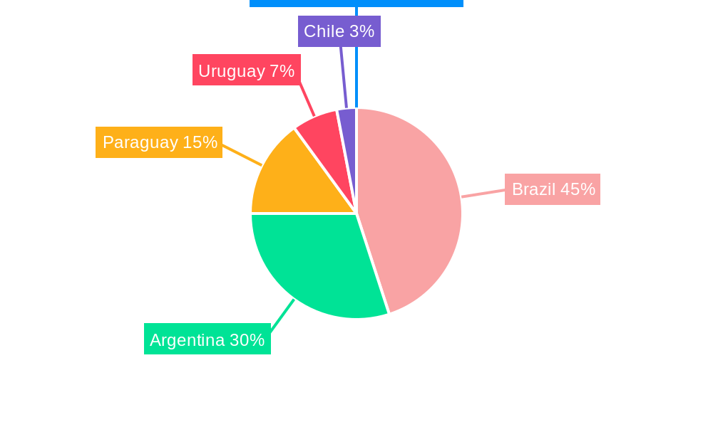 South America Mate Industry Regional Share