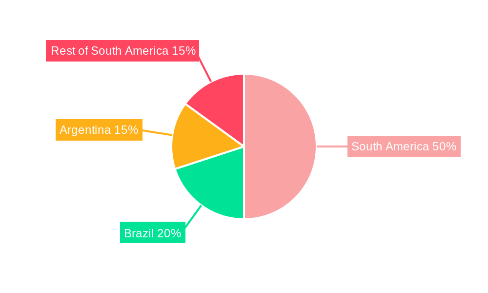 South America Nuclear Imaging Market Regional Share
