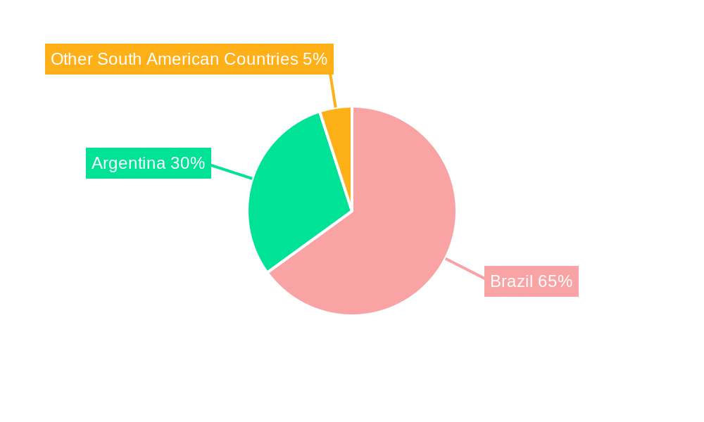 South America Ovarian Cancer Diagnostics and Therapeutics Market Regional Share