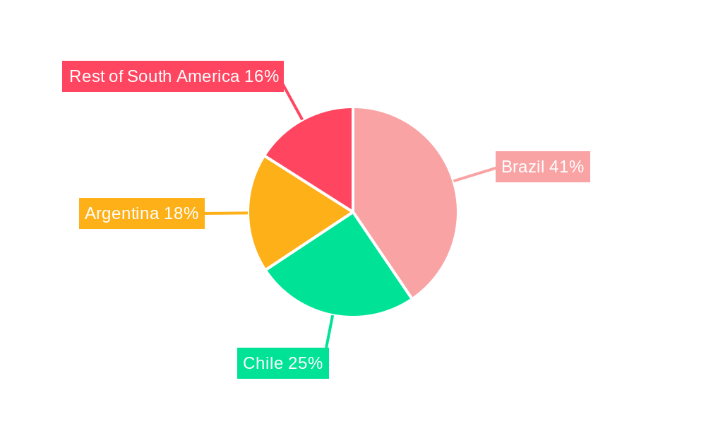 South America Solar Energy Industry Market Share by Region - Global Geographic Distribution
