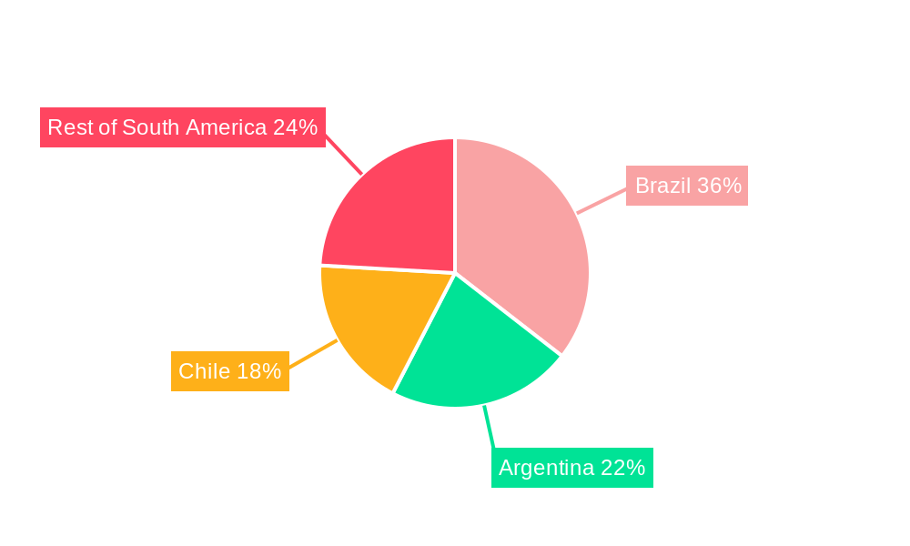 South America Waterborne Adhesives Market Regional Share