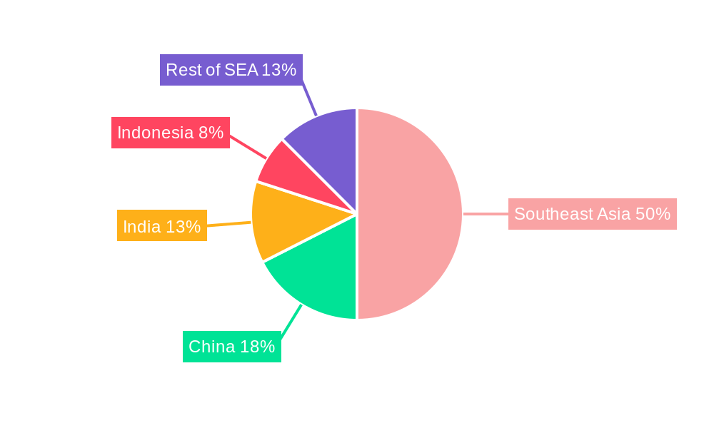 South East Asia Geosynthetics Market Regional Share
