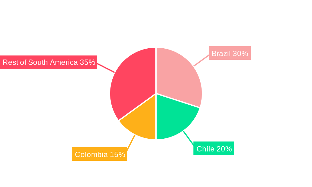 South and Central America High-Voltage Direct Current (HVDC) Transmission Systems Market Regional Share
