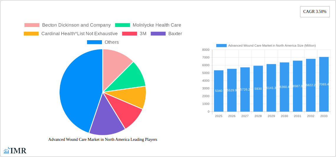 Advanced Wound Care Market in North America Research Report - Market Size, Growth & Forecast
